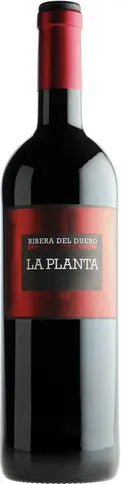 Bodegas Arzuaga La Planta 2020