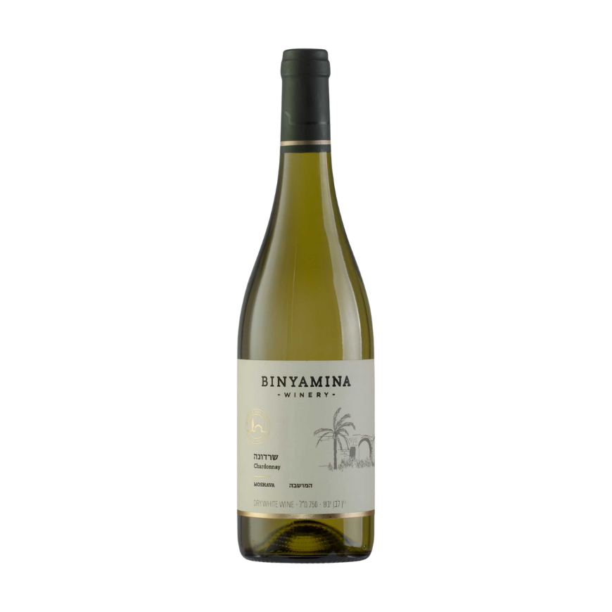 Binyamina Moshava Chardonnay 2023 Kosher