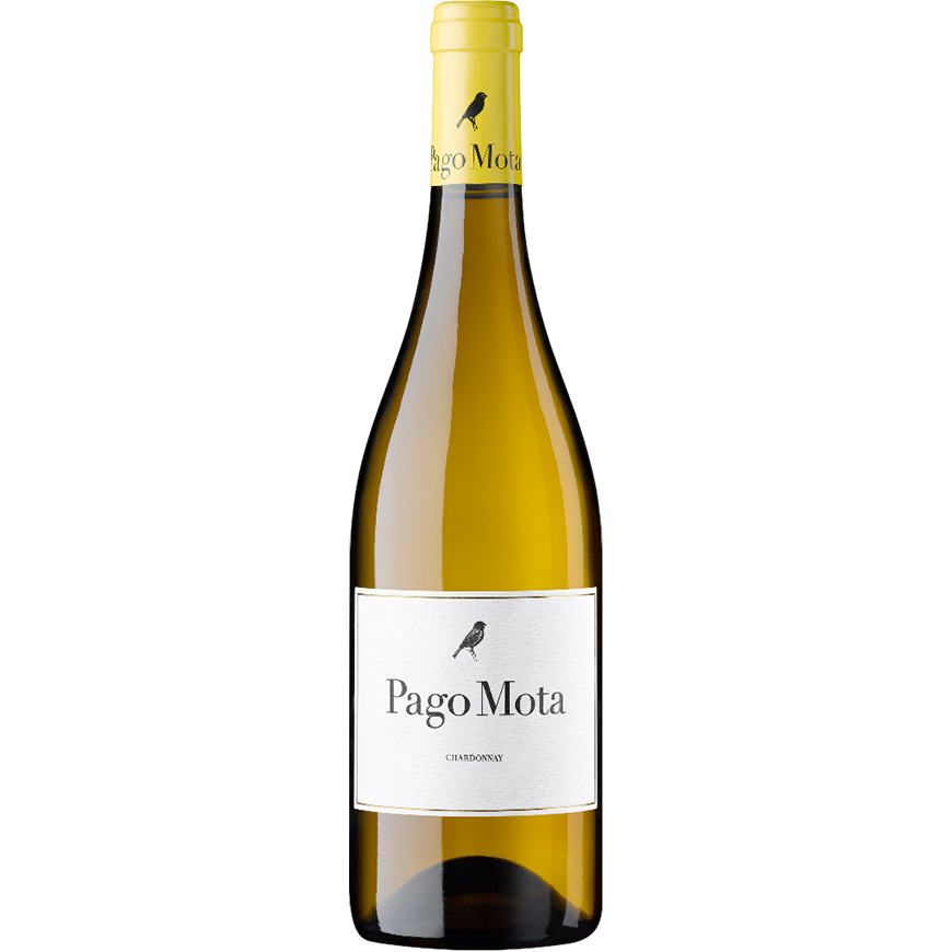 Bodegas Arzuaga Pago Mota 2023