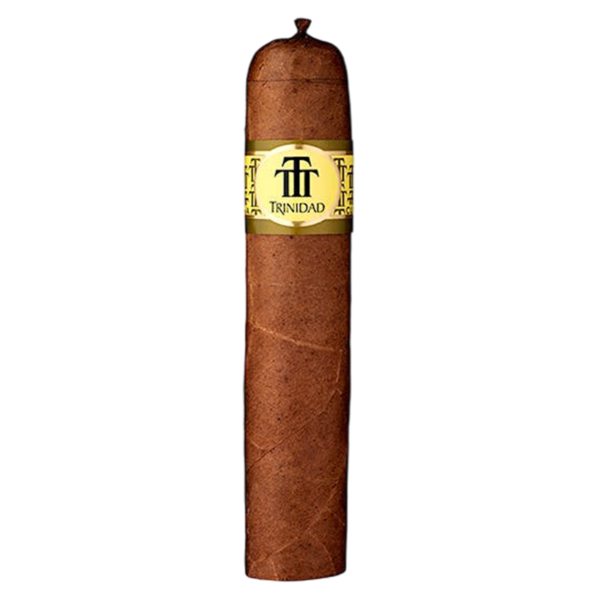 Trinidad Vigia