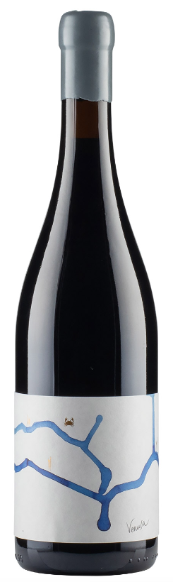Venusa Rosso 2016