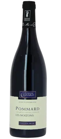 Domaine Cauvard Pommard 'Les Noizons' 2020