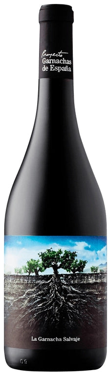 Proyecto Garnachas de Espana La Garnacha Salvaje del Moncayo 2020