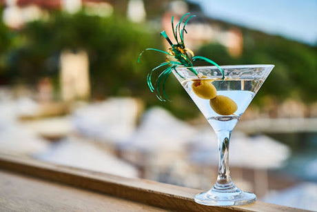 Best Martini Cocktails