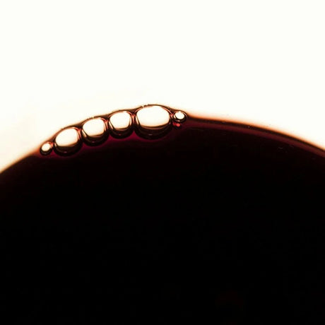 Red Wine Guide: Types, Flavors & Food Pairings