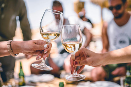 White Wine for Beginners: Find Your Favorite