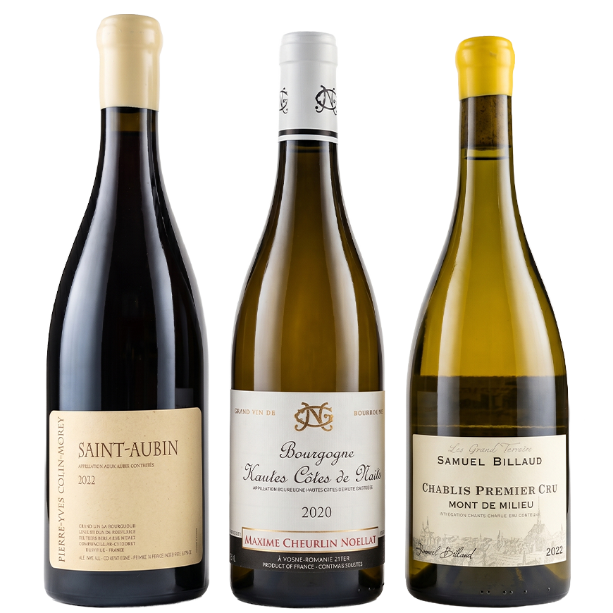 Burgundy Chardonnay: Terroir Spectrum