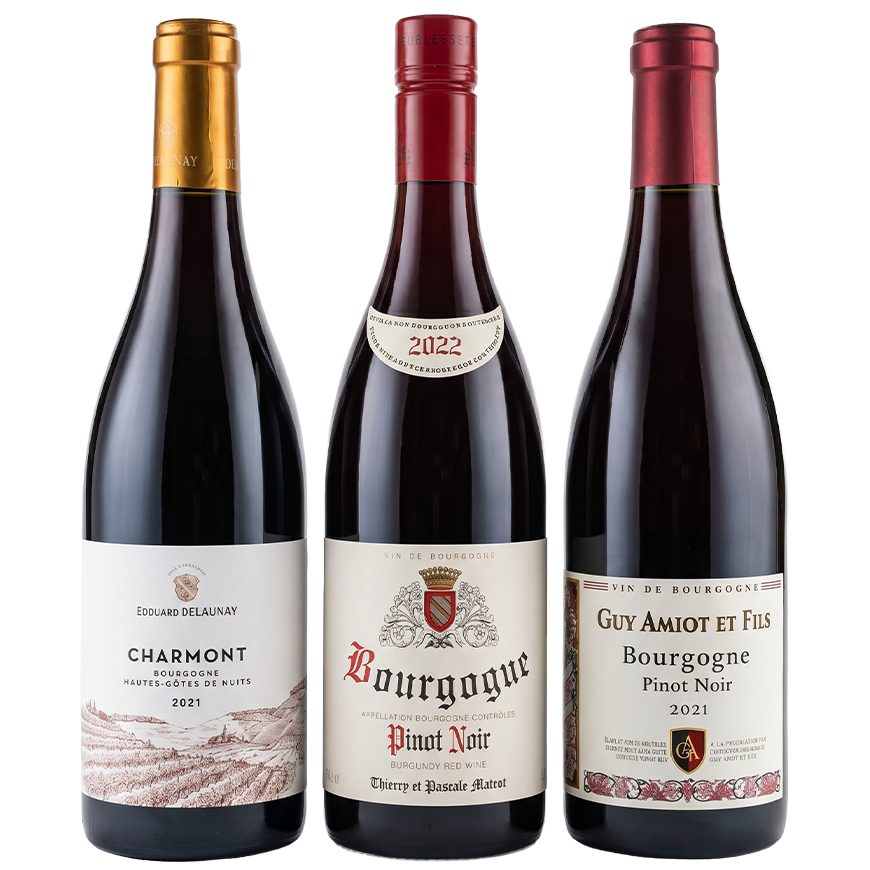 Burgundy Pinot Noir: Origins