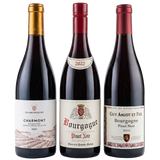 Burgundy Pinot Noir: Origins