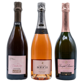 Shades of Rose Champagne