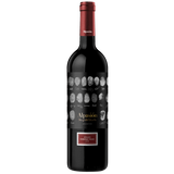 Alpasion Grand Cabernet Franc 2022