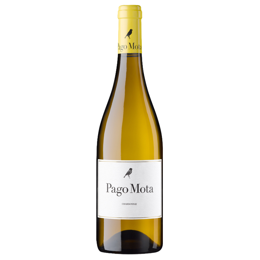 Bodegas Arzuaga Pago Mota 2021