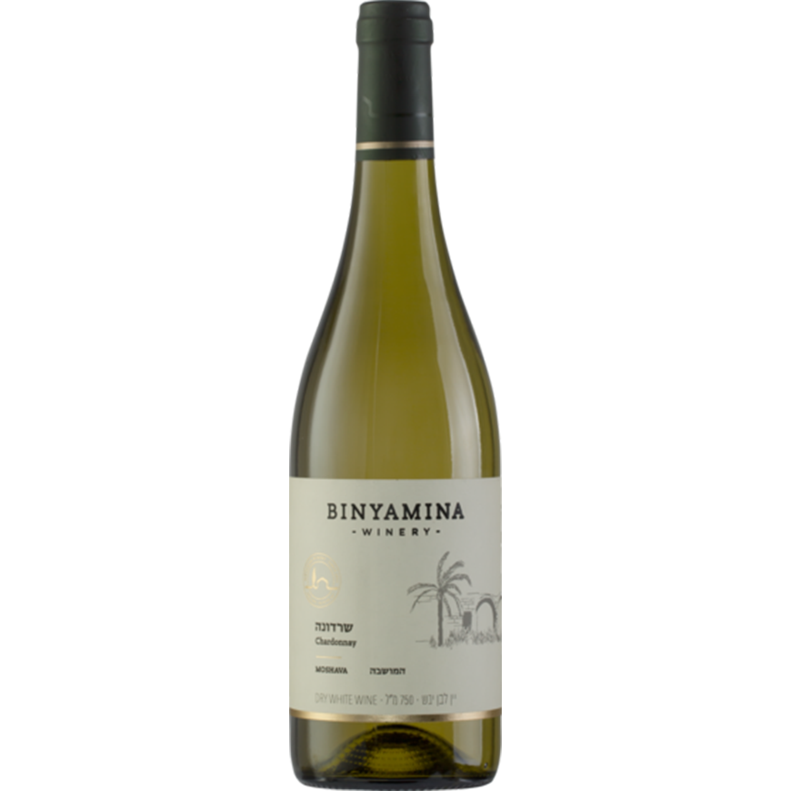 Binyamina Moshava Chardonnay 2021 Kosher