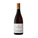 Edouard Delaunay Gevrey Chambertin V. Vignes "Le Village" 2021