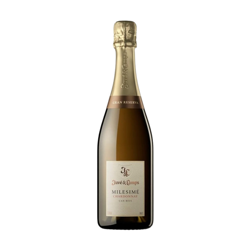 Juve & Camps Milesime Chardonnay Gran Reserve Brut 2020