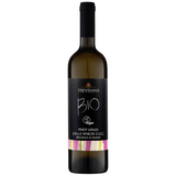 Azienda Agricola Trevisana Pinot Grigio 2021