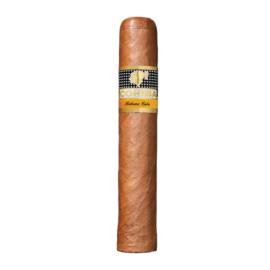 Cohiba Robustos
