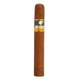 Cohiba Siglo VI 25s