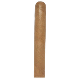 Cusano Churchill Bandle