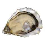 Gillardeau Oysters №3 Set of 12