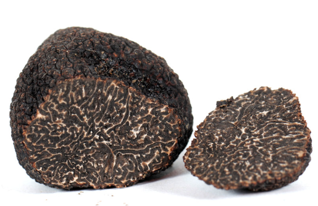 Black Winter Truffle