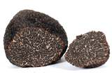 Black Winter Truffle