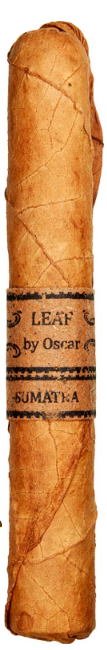 Leaf by Oscar Sumatra Toro