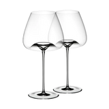 Zieher Vision Balanced Set of 2