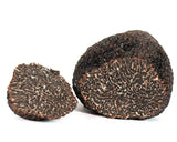 Tuber Melanosporum