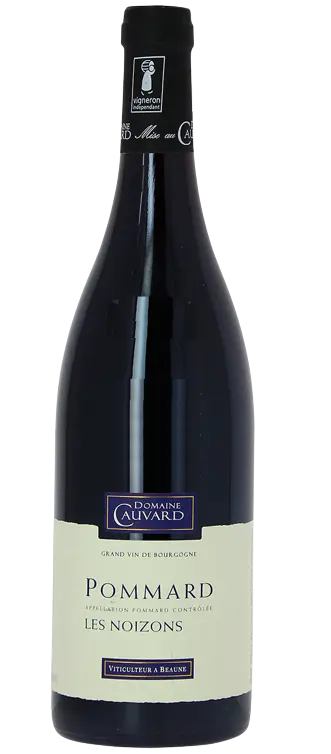 Domaine Cauvard Pommard 'Les Noizons' 2020