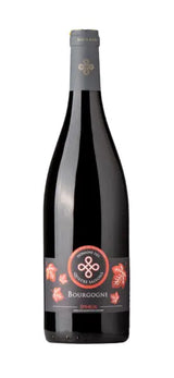 Domaine Des Quatre Saison Bourgogne Epineuil 2020