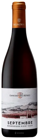 Edouard Delaunay September Bourgogne - Pinot Noir 2020