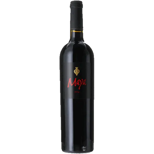 Dalla Valle Maya 2014