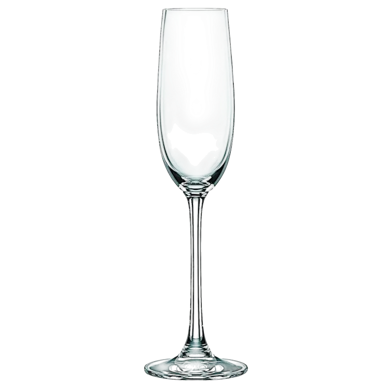 Nachtmann Champagne Flute Vivendi Set of 4